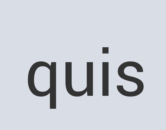 Lightweight Granite Zog